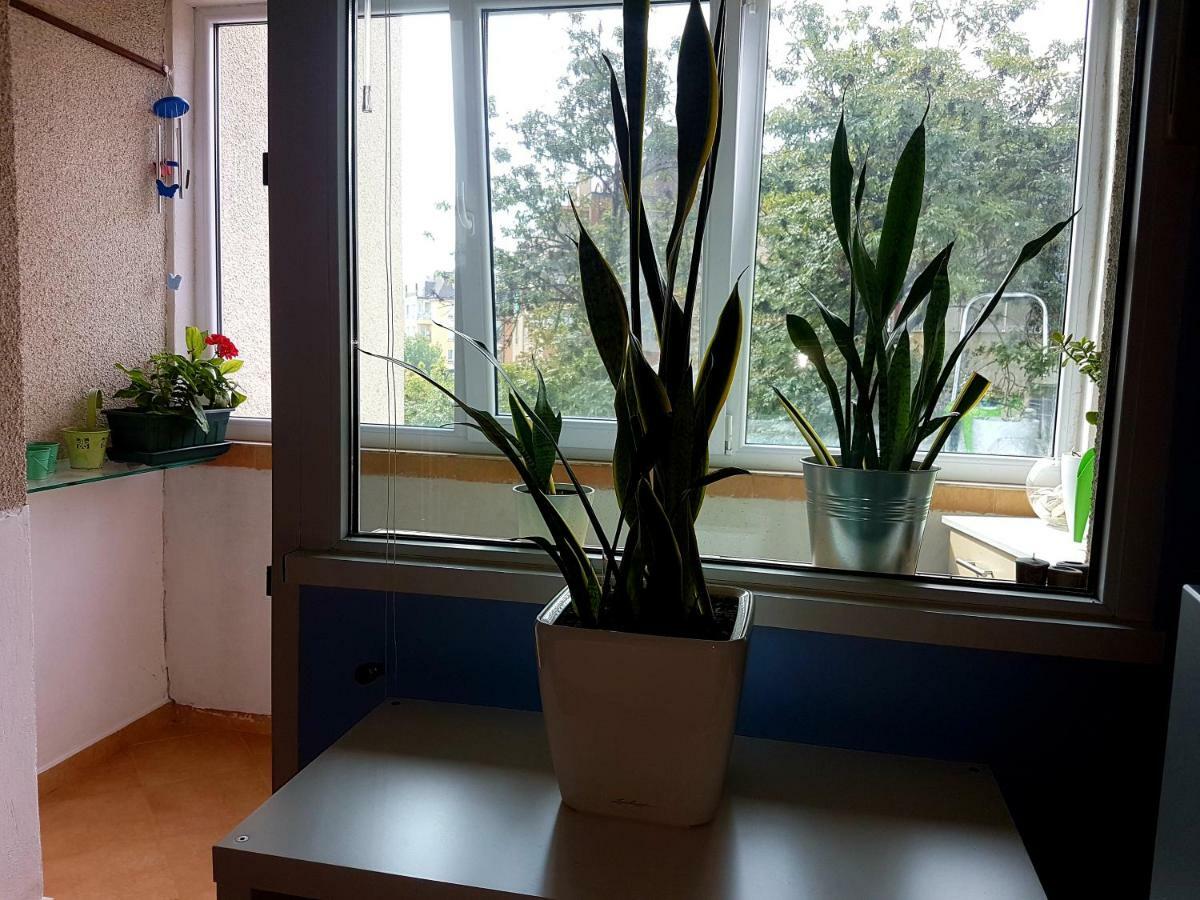 Blue Room Sofia Zewnętrze zdjęcie
